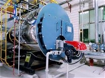 10噸燃?xì)忮仩t